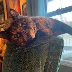 Meet your Posher, Eric